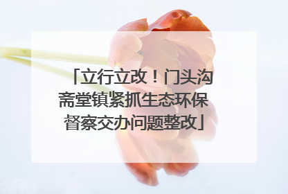立行立改！门头沟斋堂镇紧抓生态环保督察交办问题整改