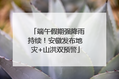 端午假期强降雨持续！安徽发布地灾+山洪双预警