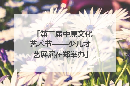 第三届中原文化艺术节——少儿才艺展演在郑举办