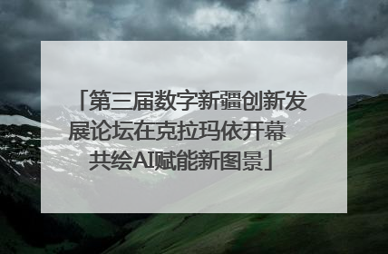 第三届数字新疆创新发展论坛在克拉玛依开幕 共绘AI赋能新图景