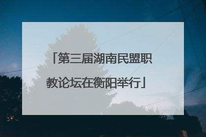 第三届湖南民盟职教论坛在衡阳举行