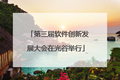 第三届软件创新发展大会在光谷举行