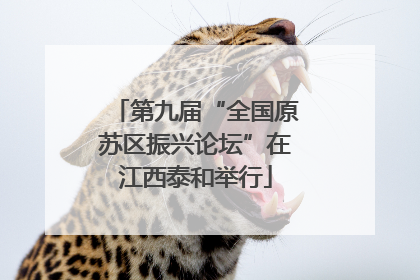 第九届“全国原苏区振兴论坛”在江西泰和举行