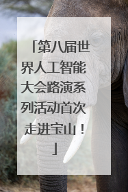 第八届世界人工智能大会路演系列活动首次走进宝山！