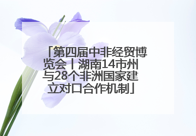 第四届中非经贸博览会丨湖南14市州与28个非洲国家建立对口合作机制