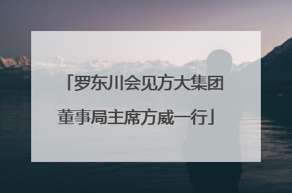 罗东川会见方大集团董事局主席方威一行