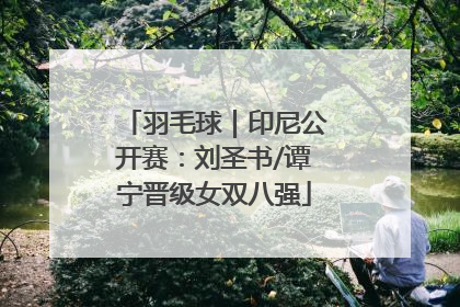 羽毛球｜印尼公开赛：刘圣书/谭宁晋级女双八强