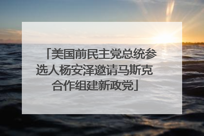 美国前民主党总统参选人杨安泽邀请马斯克合作组建新政党