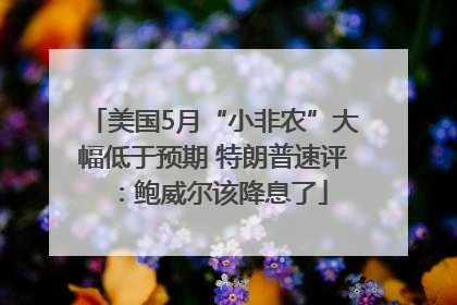 美国5月“小非农”大幅低于预期 特朗普速评：鲍威尔该降息了