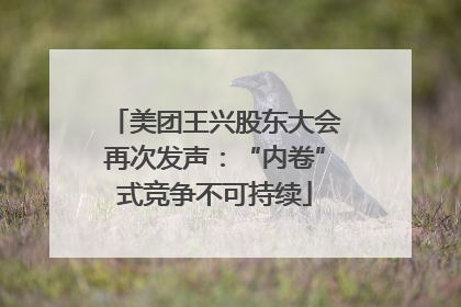 美团王兴股东大会再次发声：“内卷”式竞争不可持续