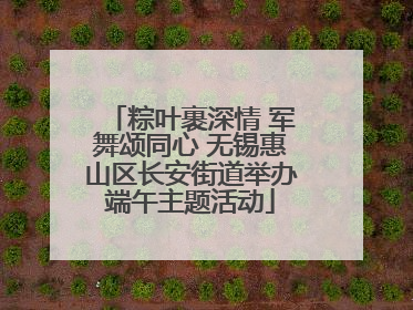 粽叶裹深情 军舞颂同心 无锡惠山区长安街道举办端午主题活动