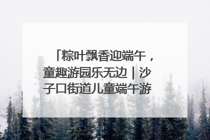 粽叶飘香迎端午，童趣游园乐无边｜沙子口街道儿童端午游园活动圆满落幕