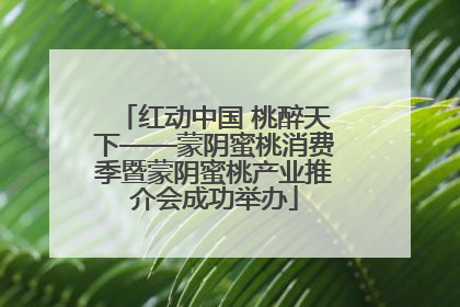 红动中国 桃醉天下——蒙阴蜜桃消费季暨蒙阴蜜桃产业推介会成功举办