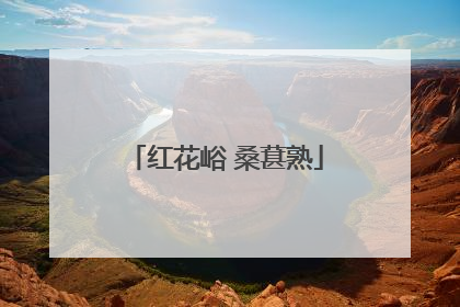 红花峪 桑葚熟