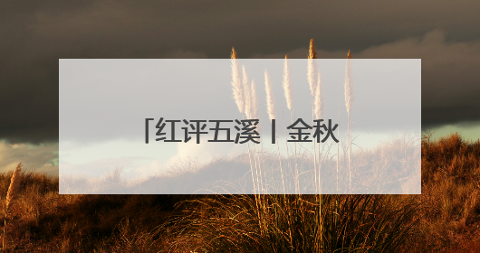 红评五溪丨金秋九月聚怀化 共赴文旅新盛宴