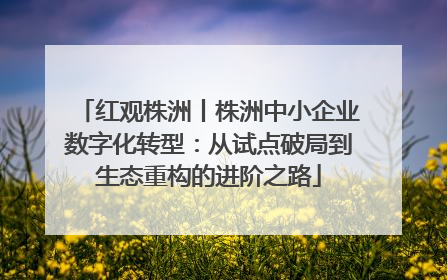 红观株洲丨株洲中小企业数字化转型：从试点破局到生态重构的进阶之路