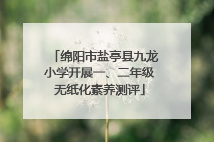 绵阳市盐亭县九龙小学开展一、二年级无纸化素养测评