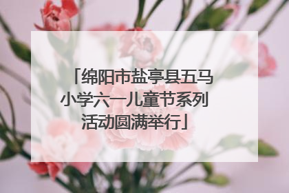 绵阳市盐亭县五马小学六一儿童节系列活动圆满举行