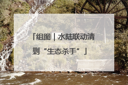组图｜水陆联动清剿“生态杀手”