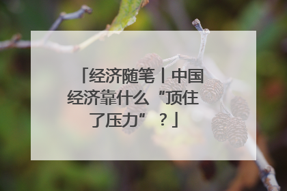 经济随笔丨中国经济靠什么“顶住了压力”？