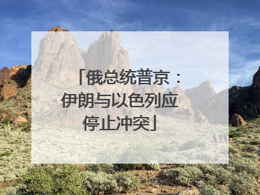 俄总统普京：伊朗与以色列应停止冲突