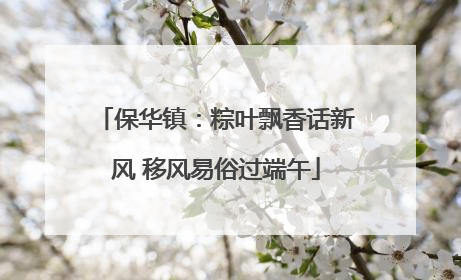 保华镇：粽叶飘香话新风 移风易俗过端午