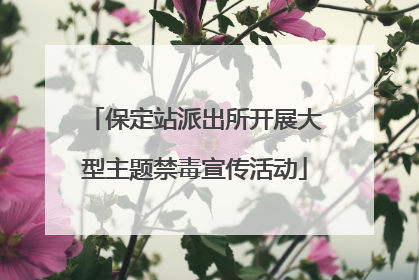 保定站派出所开展大型主题禁毒宣传活动