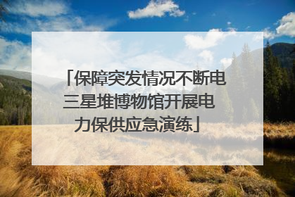 保障突发情况不断电 三星堆博物馆开展电力保供应急演练