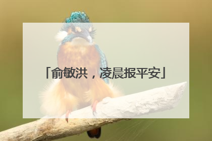 俞敏洪，凌晨报平安