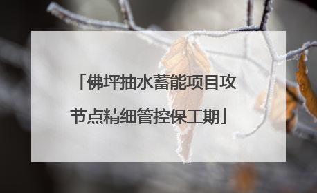 佛坪抽水蓄能项目攻节点精细管控保工期