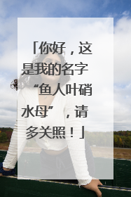 你好，这是我的名字“鱼人叶硝水母”，请多关照！