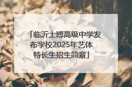 临沂士博高级中学发布学校2025年艺体特长生招生简章