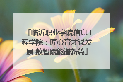 临沂职业学院信息工程学院：匠心育才谋发展 数智赋能谱新篇