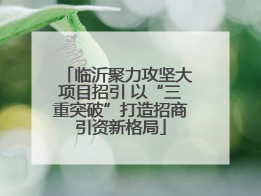 临沂聚力攻坚大项目招引 以“三重突破”打造招商引资新格局