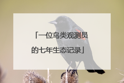 一位鸟类观测员的七年生态记录