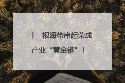 一根海带串起荣成产业“黄金链”