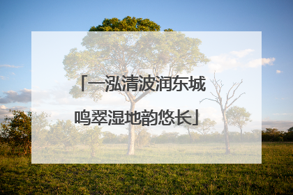 一泓清波润东城 鸣翠湿地韵悠长