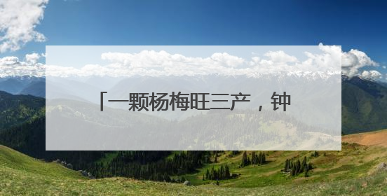 一颗杨梅旺三产，钟祥长滩四季采摘带给游客“舌尖上的惊喜”