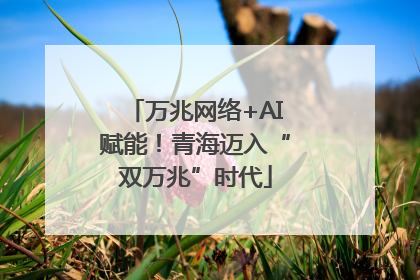 万兆网络+AI赋能！青海迈入“双万兆”时代