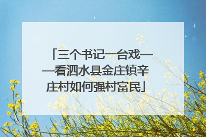三个书记一台戏——看泗水县金庄镇辛庄村如何强村富民