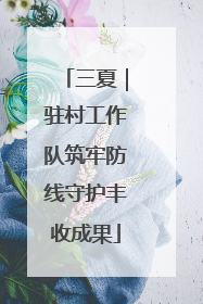 三夏｜驻村工作队筑牢防线守护丰收成果