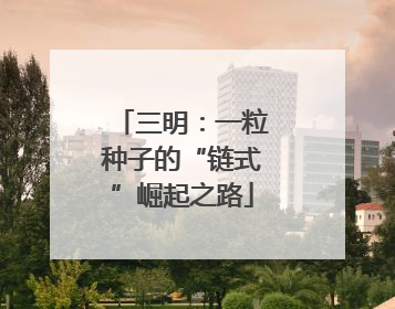 三明：一粒种子的“链式”崛起之路