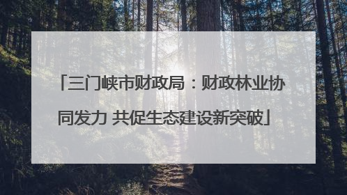 三门峡市财政局：财政林业协同发力 共促生态建设新突破