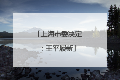 上海市委决定：王平履新