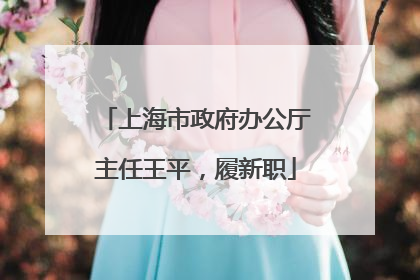 上海市政府办公厅主任王平，履新职