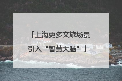 上海更多文旅场景引入“智慧大脑”