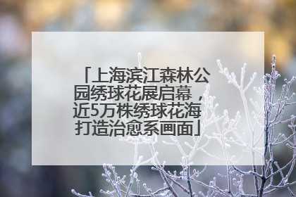上海滨江森林公园绣球花展启幕，近5万株绣球花海打造治愈系画面