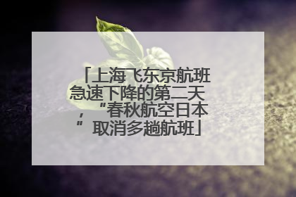 上海飞东京航班急速下降的第二天，“春秋航空日本”取消多趟航班