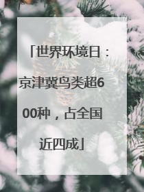 世界环境日：京津冀鸟类超600种，占全国近四成