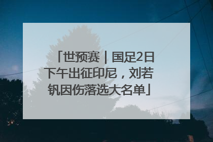 世预赛｜国足2日下午出征印尼，刘若钒因伤落选大名单